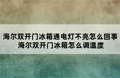 海尔双开门冰箱通电灯不亮怎么回事 海尔双开门冰箱怎么调温度